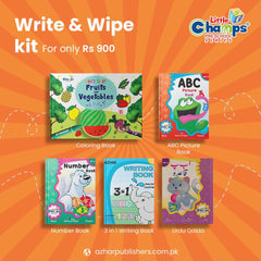 Write & Wipe Kit